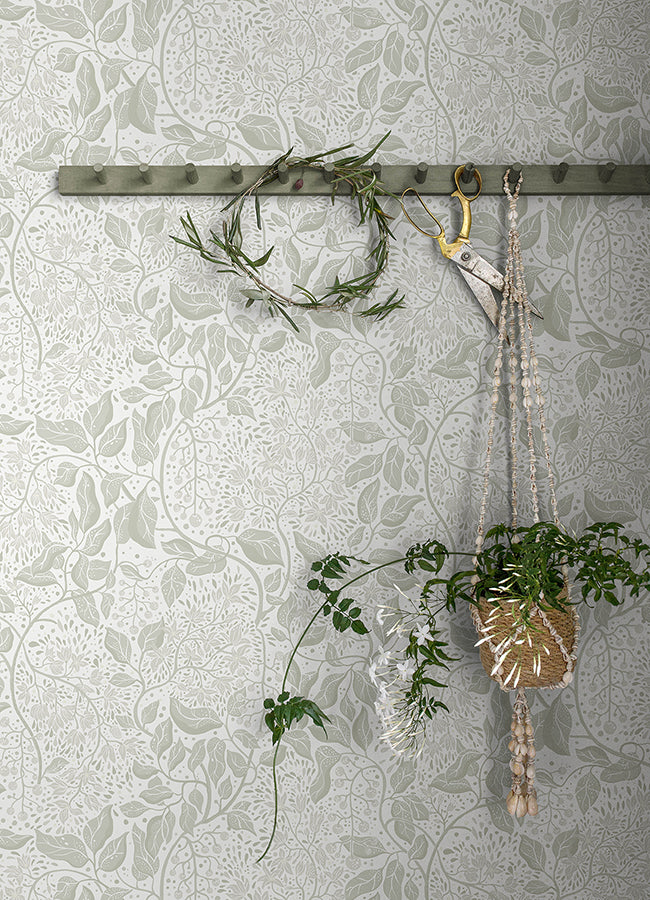 Turi Sage Twining Vines Wallpaper - Brewster Wallcovering