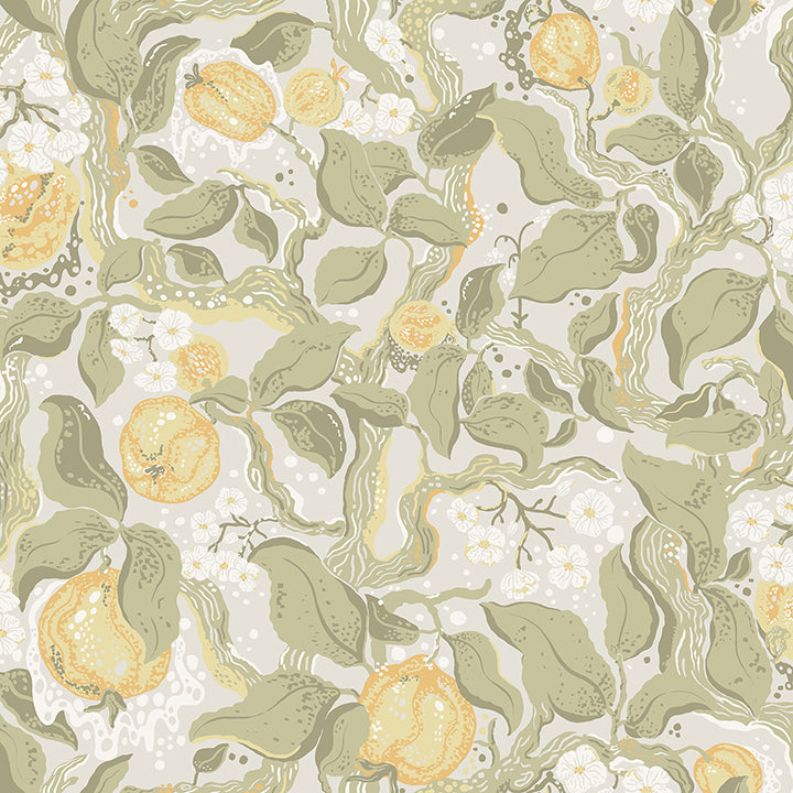 kort-sage-fruit-and-floral-wallpaper-york-wallcoverings-4143-22025