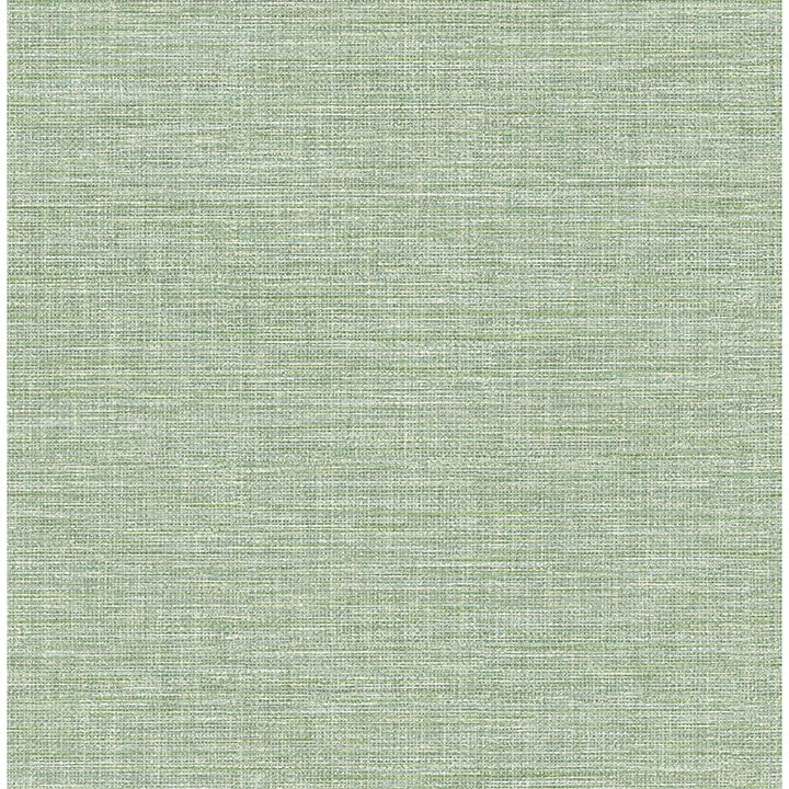 Picture of Exhale Light Green Texture Wallpaper