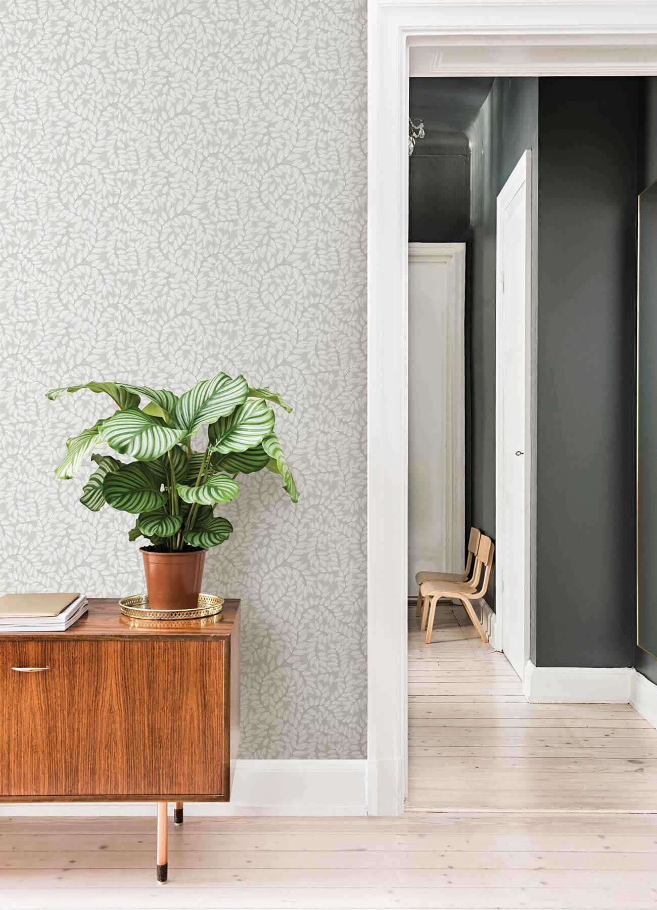Lindlöv Grey Leafy Vines Wallpaper - York Wallcoverings - 4143-34016 - York Wallcoverings Wallpaper