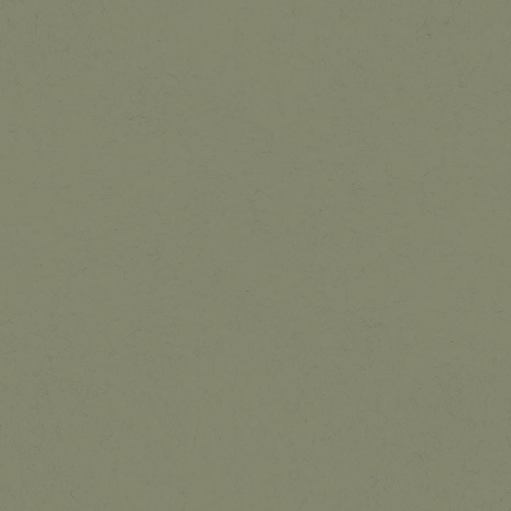 Picture of Parget Skog Olive Textured Wallpaper