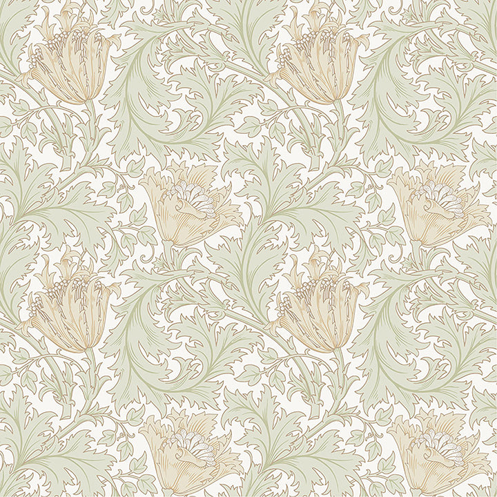 Picture of Anemone Light Green Floral Trail Wallpaper