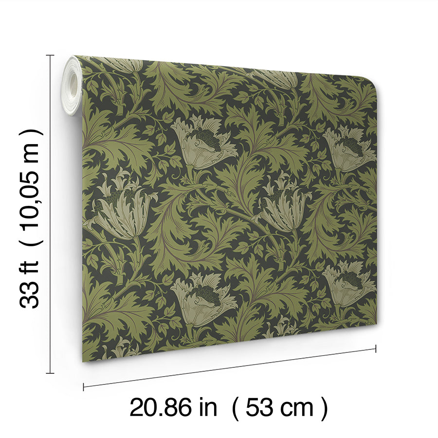 Anemone Dark Green Floral Trail Wallpaper - Brewster Wallcovering