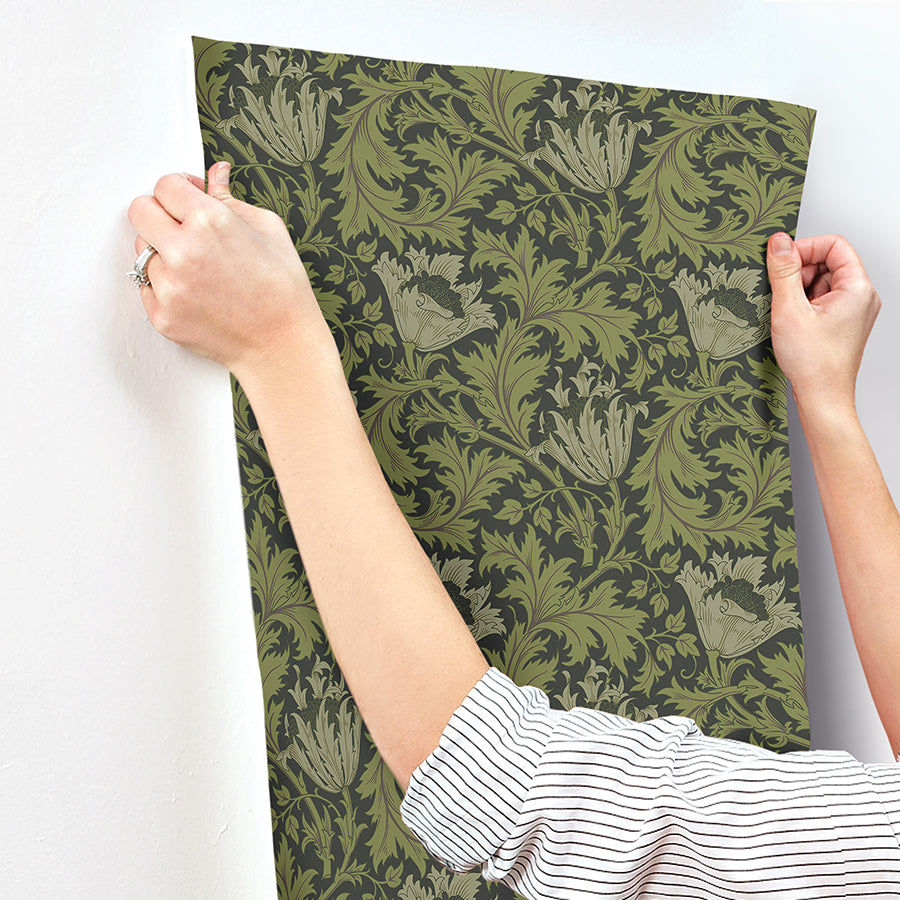 Anemone Dark Green Floral Trail Wallpaper - Brewster Wallcovering