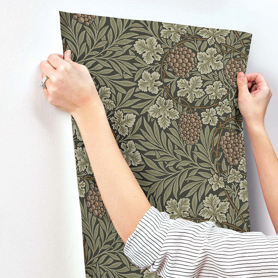 Vine Dark Green Woodland Fruits Wallpaper - Brewster Wallcovering