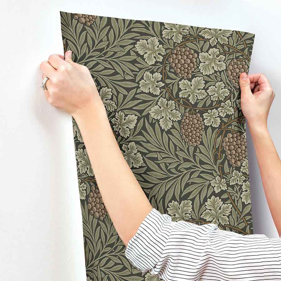 Vine Dark Green Woodland Fruits Wallpaper - York Wallcoverings - 4153-82020 - York Wallcoverings Wallpaper