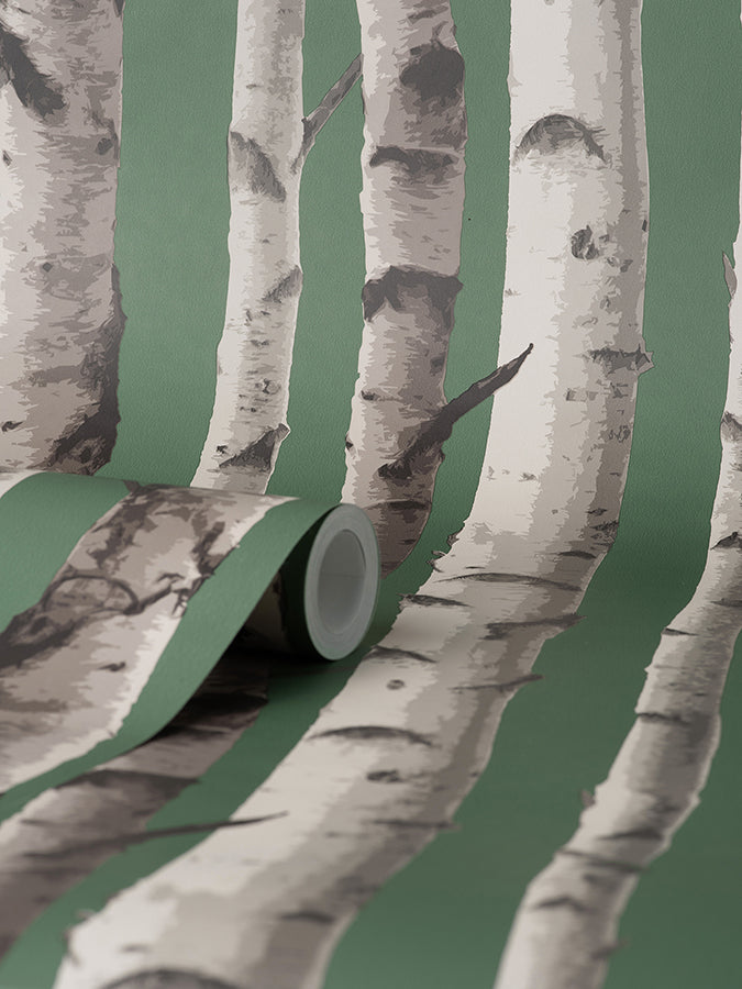 chester-dark-green-birch-trees-wallpaper-york-wallcoverings-fd43292 - York Wallcoverings Wallpaper