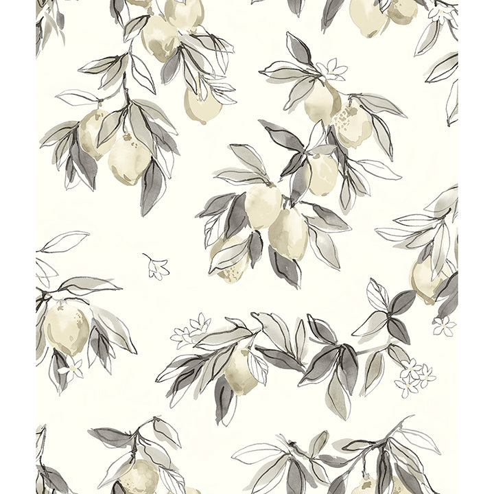 Picture of Lemonade Charcoal Citrus Wallpaper