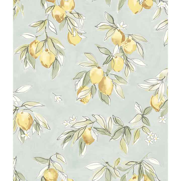 Lemonade Aqua Citrus Wallpaper - York Wallcoverings - 4134-72508