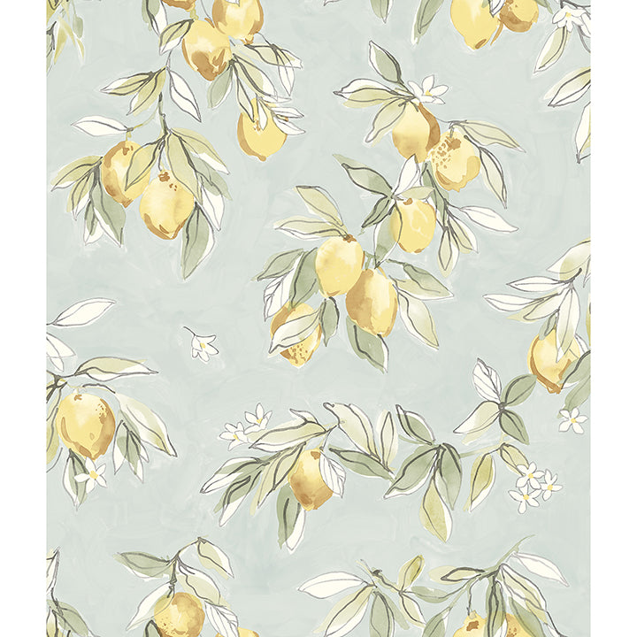 Picture of Lemonade Aqua Citrus Wallpaper