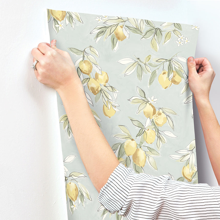 Lemonade Aqua Citrus Wallpaper  | Brewster Wallcovering - The WorkRm