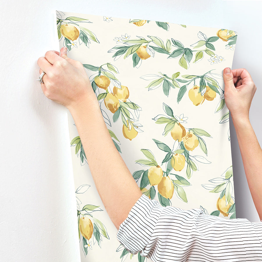 Lemonade Yellow Citrus Wallpaper - Brewster Wallcovering