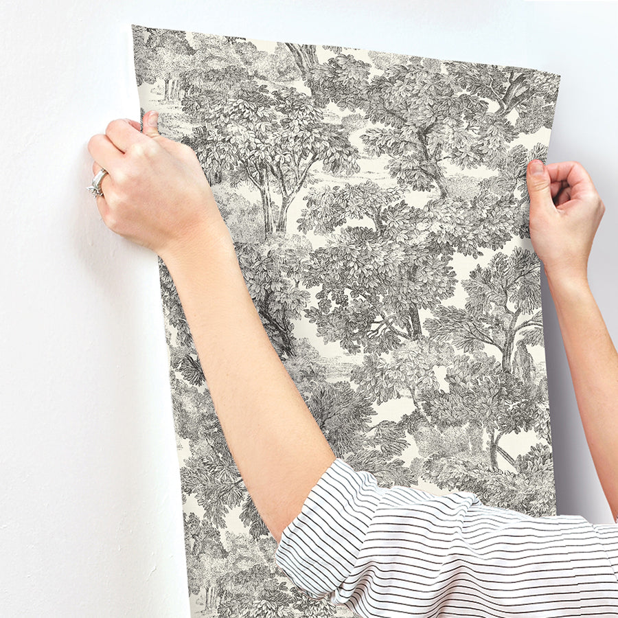 Spinney Black Toile Wallpaper  | Brewster Wallcovering