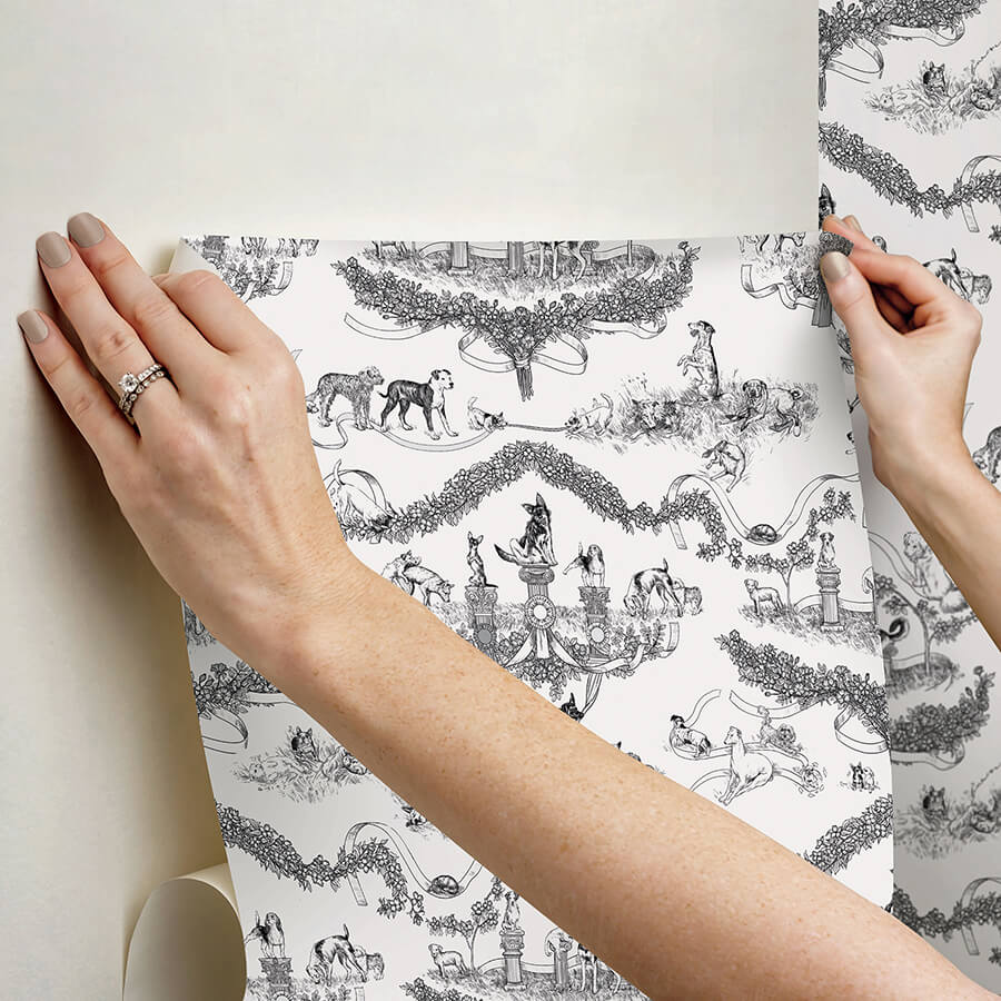 black-worst-in-show-peel-and-stick-wallpaper-york-wallcoverings-ras6260 - York Wallcoverings Wallpaper