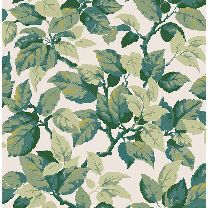 Canopy Green Leaf Wallpaper - York Wallcoverings - 4164-M1804