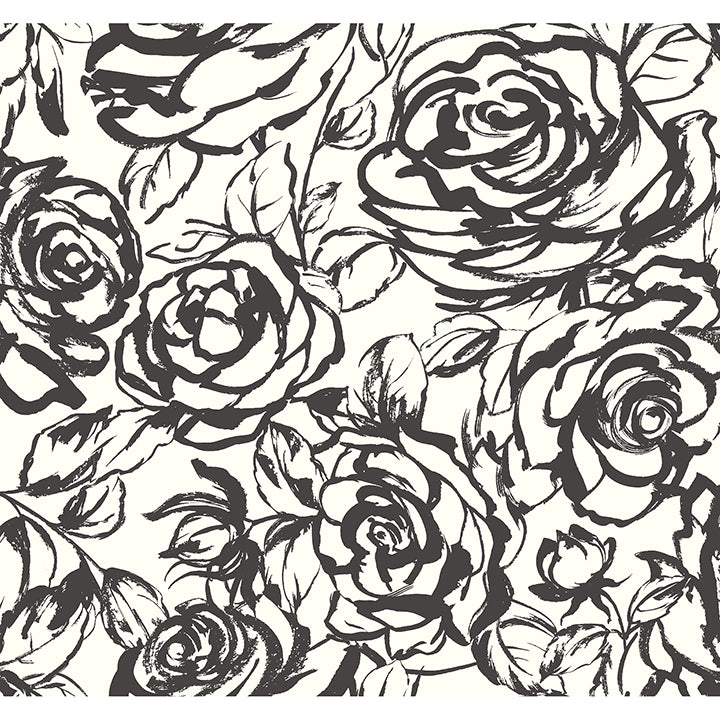 Picture of Nelda Black Rose Wallpaper