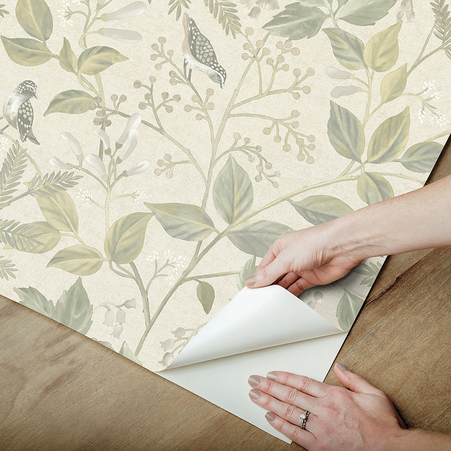 CLJ Emerson Sage Peel and Stick Wallpaper - Brewster Wallcovering