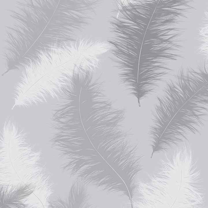 Sussurro Grey Feathers Wallpaper - York Wallcoverings - AH901705 - York Wallcoverings Wallpaper