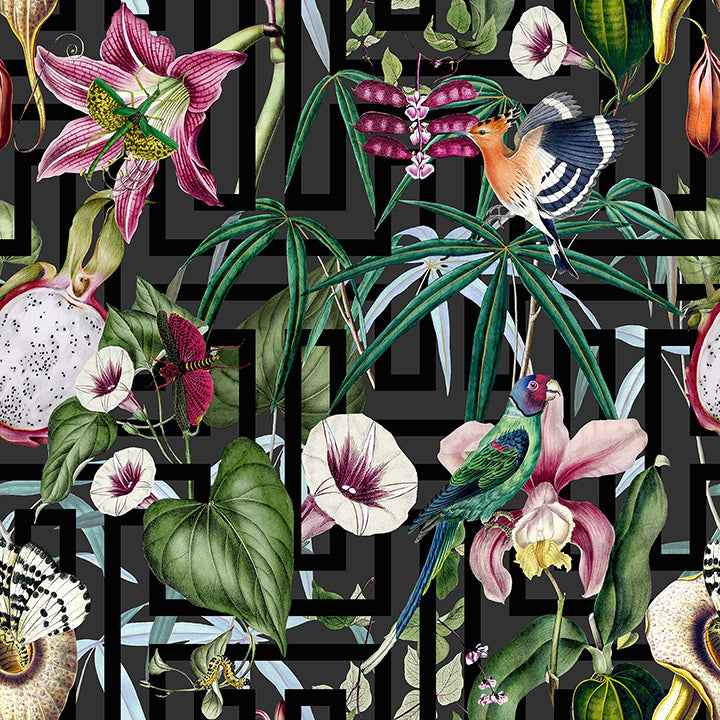 Lucretia Multicolor Tropical Wallpaper - York Wallcoverings - AH922805