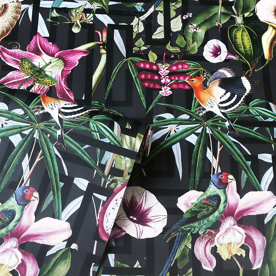 lucretia-multicolor-tropical-wallpaper-york-wallcoverings-ah922805 - York Wallcoverings Wallpaper