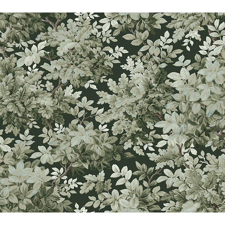 greenwood-dark-green-deciduous-wallpaper-york-wallcoverings-4147-80004