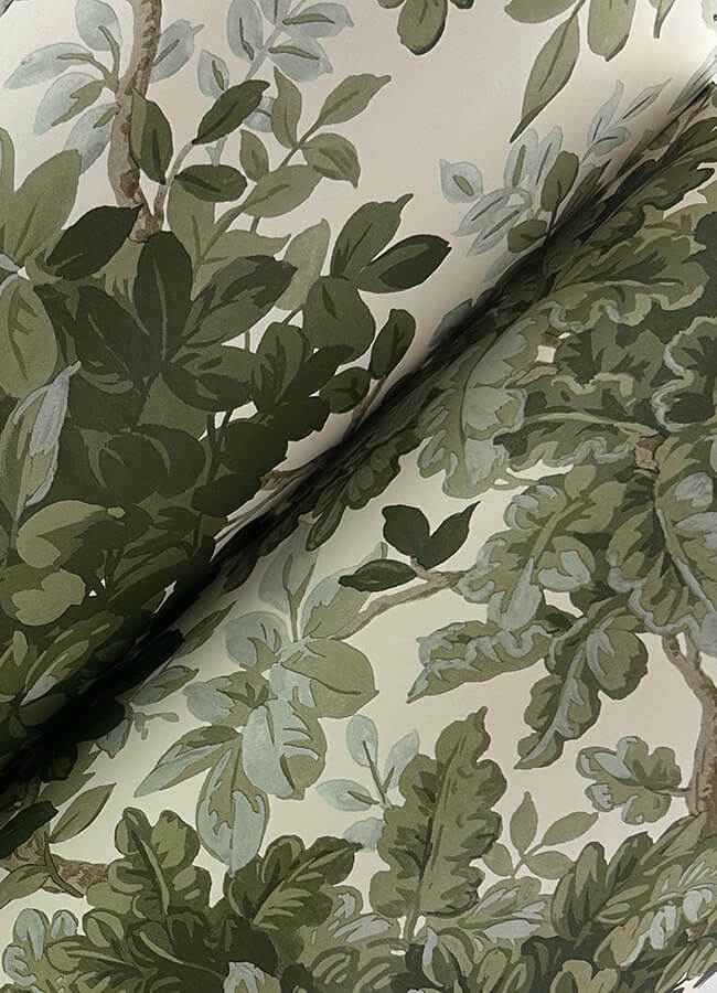 Greenwood Moss Deciduous Wallpaper - York Wallcoverings - 4147-80006 - York Wallcoverings Wallpaper