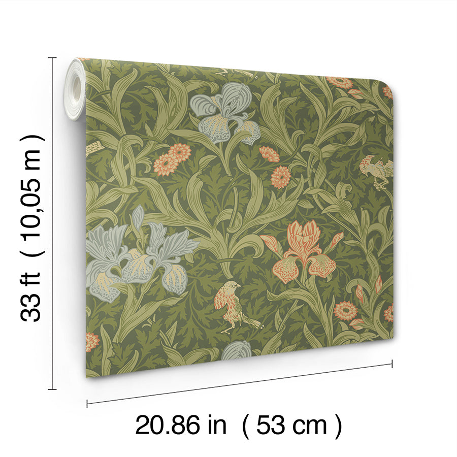 iris-green-wild-gardens-wallpaper-york-wallcoverings-4171-82050