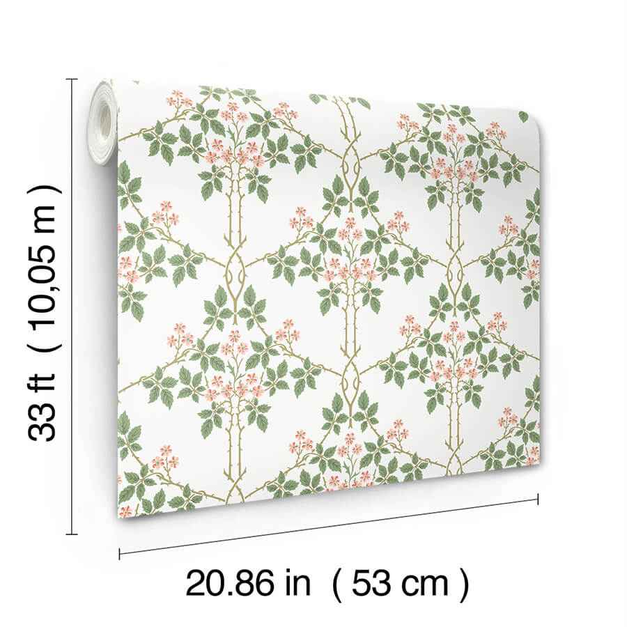Blackberry Pink Vine Trellis Wallpaper - York Wallcoverings - 4171-82054 - York Wallcoverings Wallpaper