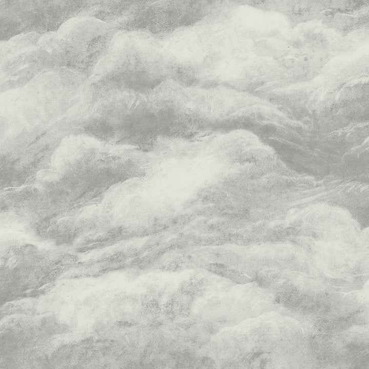 Nimbostratus Pewter Cloud Wallpaper - York Wallcoverings - BG5705 - York Wallcoverings Wallpaper