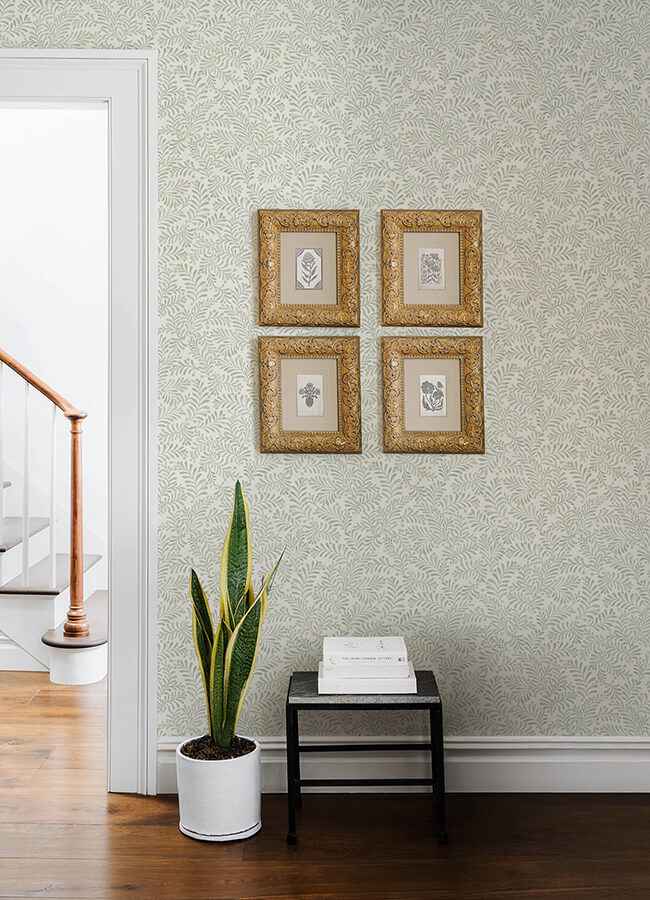 Chrysantha Sage Berry Branches Wallpaper - York Wallcoverings - 4148-27444 - York Wallcoverings Wallpaper