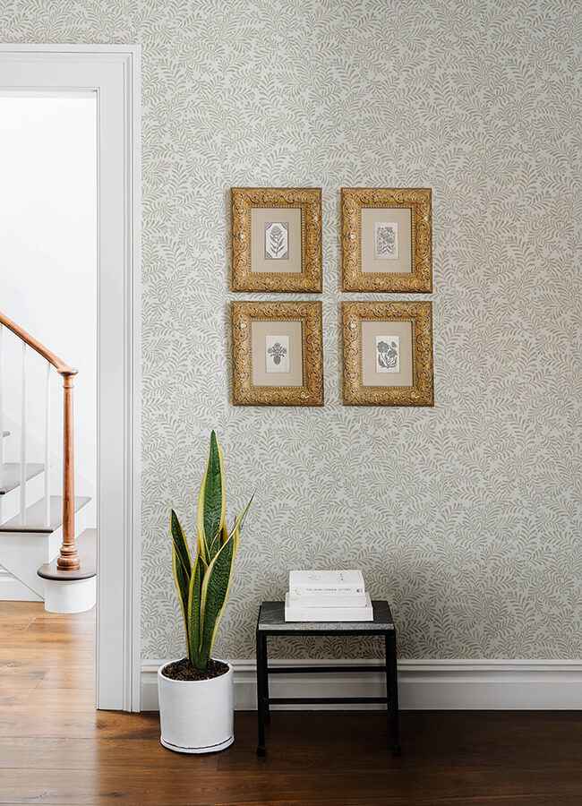 Chrysantha Light Grey Berry Branches Wallpaper - York Wallcoverings - 4148-27445 - York Wallcoverings Wallpaper