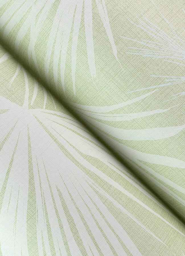 Hatteras Light Green Palms Wallpaper - York Wallcoverings - 4172-27490 - York Wallcoverings Wallpaper