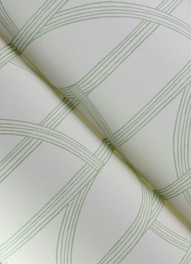 salvo-light-green-curved-contours-wallpaper-york-wallcoverings-4172-82009 - York Wallcoverings Wallpaper