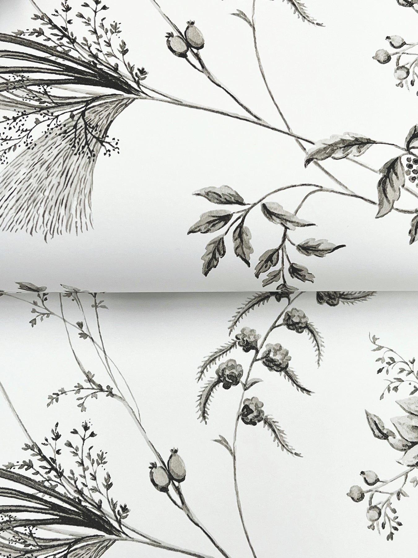 floral-lace-wallpaper-black-york-wallcoverings-mx9682
