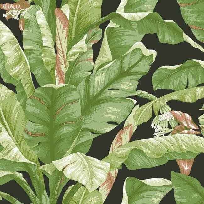 Banana Leaf Black & Green Peel & Stick Wallpaper - York Wallcoverings - PSW1035RL