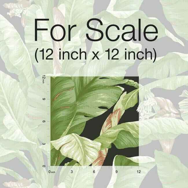 Banana Leaf Black & Green Peel & Stick Wallpaper - York Wallcoverings - PSW1035RL - York Wallcoverings Wallpaper