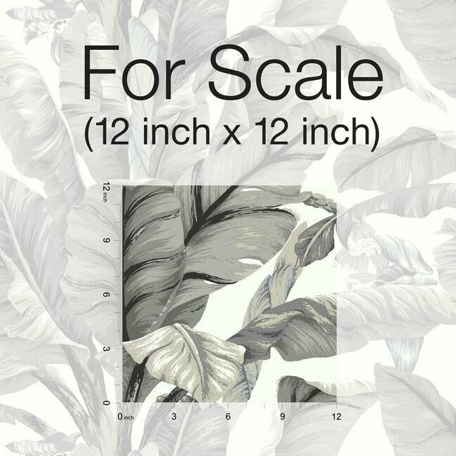 banana-leaf-premium-peel-stick-wallpaper-white-black-york-wallcoverings-psw1037rl