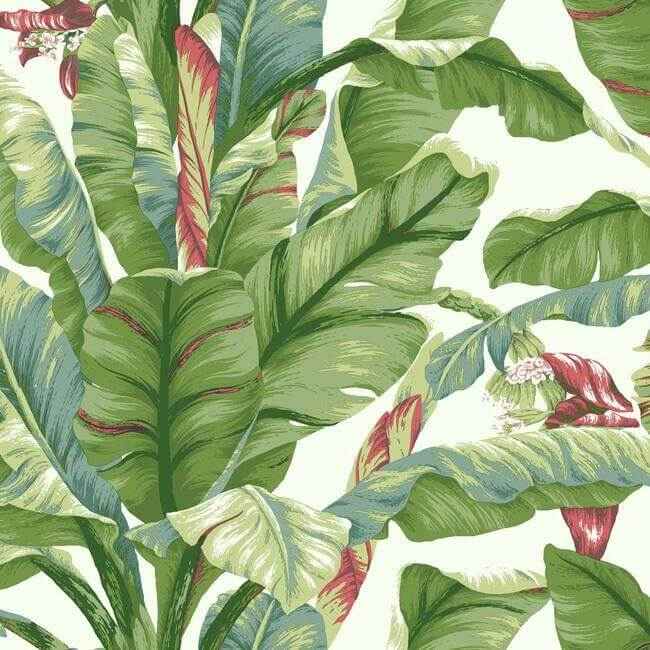 Banana Leaf White & Green Peel & Stick Wallpaper - York Wallcoverings - PSW1034RL