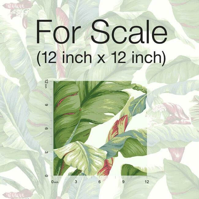 banana-leaf-premium-peel-stick-wallpaper-whitegreen-york-wallcoverings-psw1034rl - York Wallcoverings Wallpaper