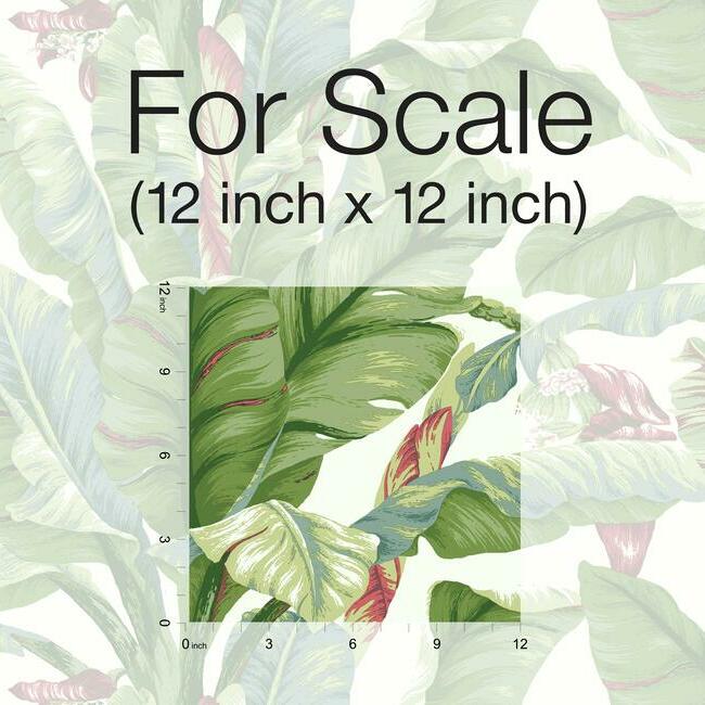 banana-leaf-premium-peel-stick-wallpaper-white-green-york-wallcoverings-psw1034rl