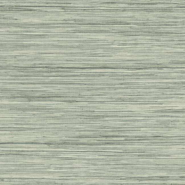 bahiagrass-premium-peel-stick-wallpaper-grey-york-wallcoverings-psw1138rl