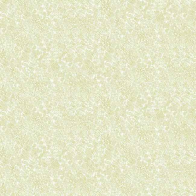 Champagne Dots Gold & White Wallpaper - York Wallcoverings - RI5112