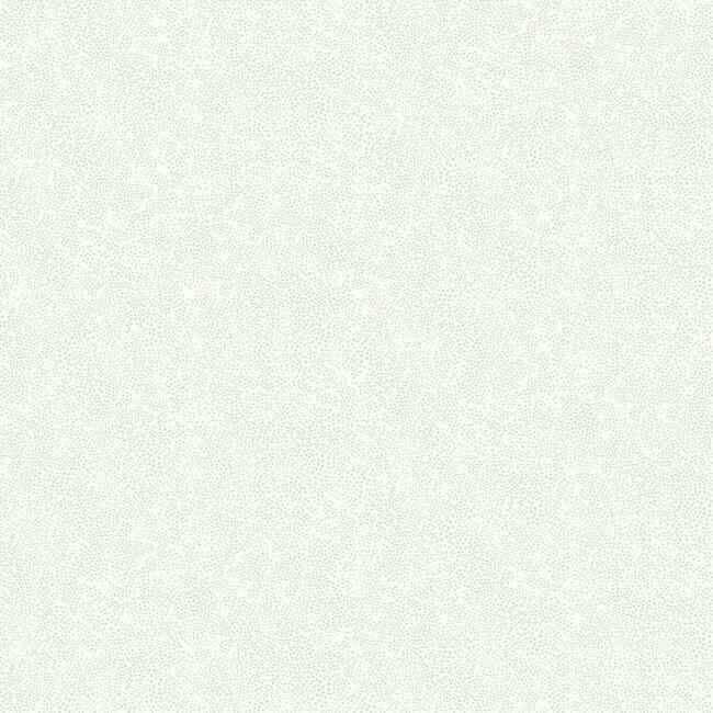 Champagne Dots Linen Metallic Wallpaper - York Wallcoverings - RI5115 - York Wallcoverings Wallpaper