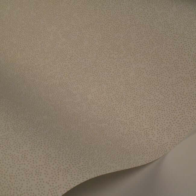 champagne-dots-wallpaper-linen-white-york-wallcoverings-ri5115 - York Wallcoverings Wallpaper