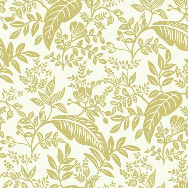 Canopy Gold & White Wallpaper - York Wallcoverings - RI5138 - York Wallcoverings Wallpaper