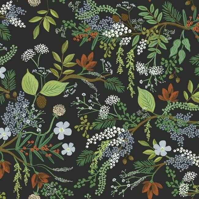Juniper Forest Black Wallpaper - York Wallcoverings - RI5166