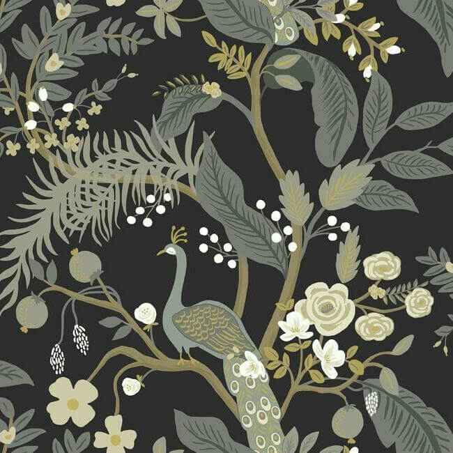 Peacock Black Wallpaper - York Wallcoverings - RI5170