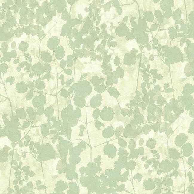 Pressed Leaves Green Wallpaper - York Wallcoverings - NA0517