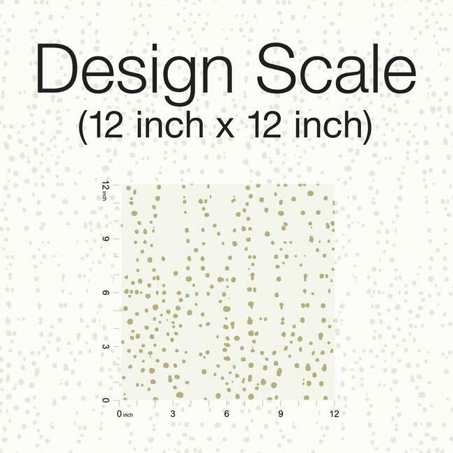 star-struck-wallpaper-blonde-gold-york-wallcoverings-ci2352