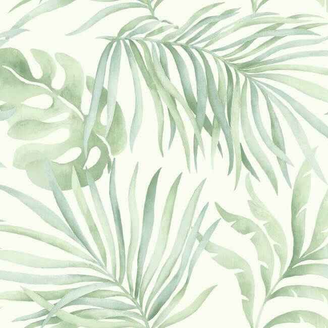 Paradise Palm Light Green Wallpaper - York Wallcoverings - SO2452 - York Wallcoverings Wallpaper